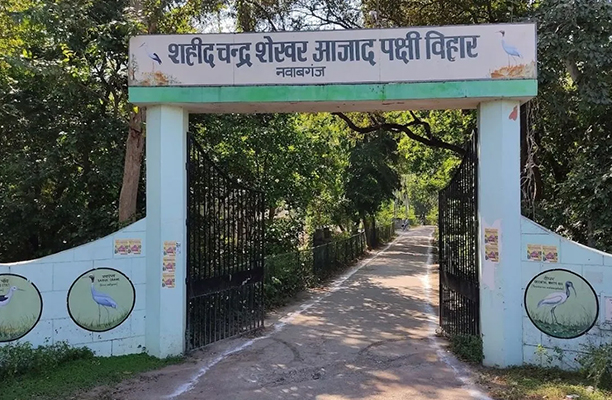 Nawabganj Bird Sanctuary